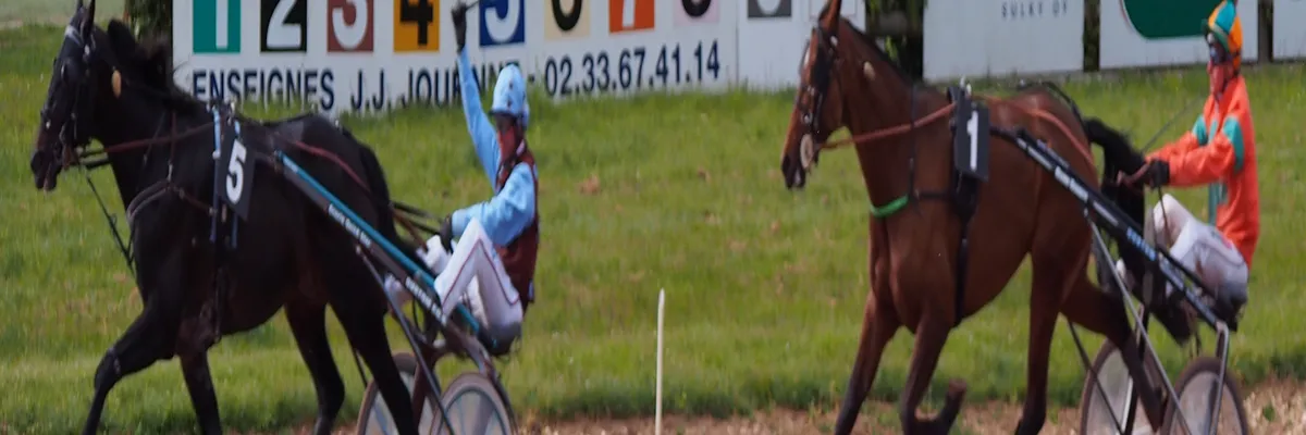 Image Pose borne de recharge IRVE Argentan