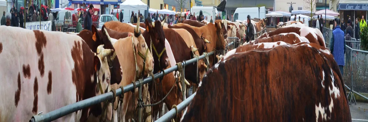 Image Pose borne de recharge IRVE Yvetot